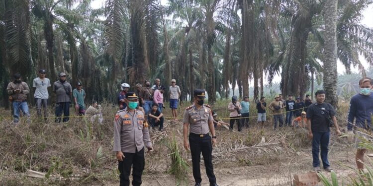 Tim Inafis Polres Mesuji Olah TKP dan Identifikasi Penemuan Jasad Wanita di Kebun Sawit