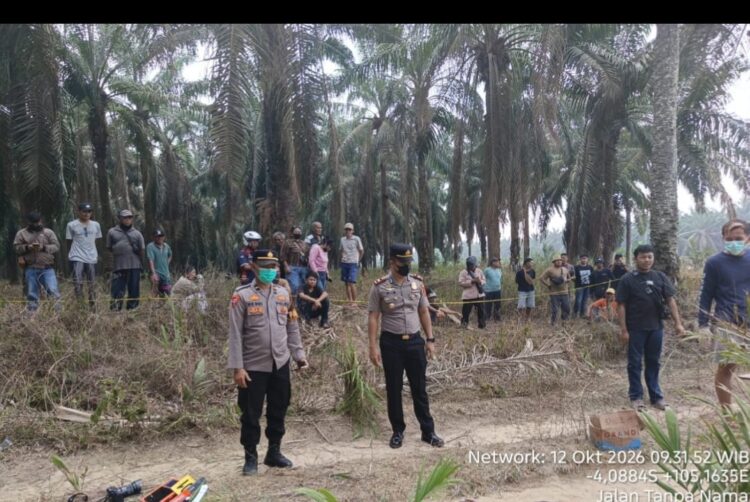 Tim Inafis Polres Mesuji Olah TKP dan Identifikasi Penemuan Jasad Wanita di Kebun Sawit